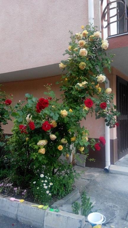 Lazur Hotel Ravda Exterior photo